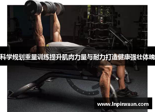 科学规划重量训练提升肌肉力量与耐力打造健康强壮体魄